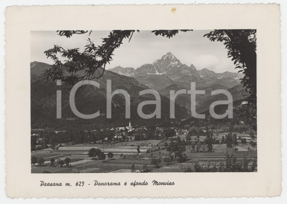 Cartolina originale da collezione 1950 ca PAESANA Panorama con il Monviso  Cartolina FG NV 1