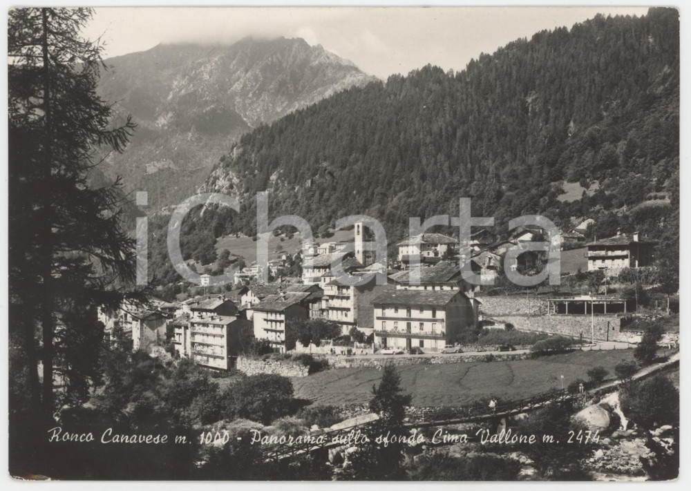 Cartolina originale da collezione 1961 RONCO CANAVESE  Panorama con Cima Vallone  Cartolina FG VG 1