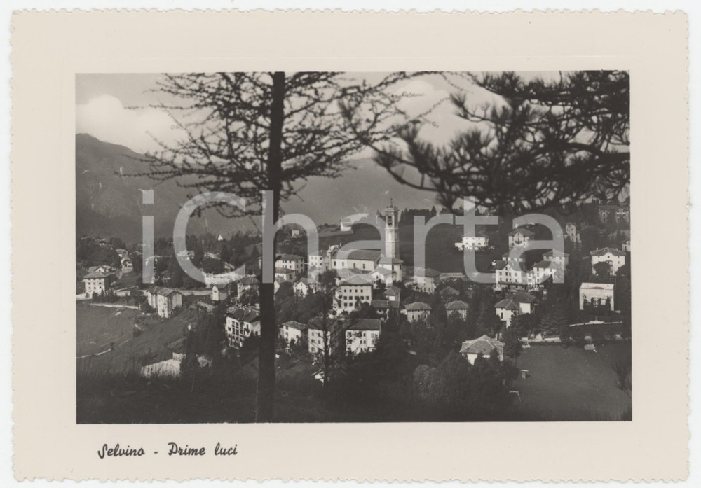 Cartolina originale da collezione 1950 ca SELVINO BG Panorama alle prime luci dell alba  Cartolina FG NV 1
