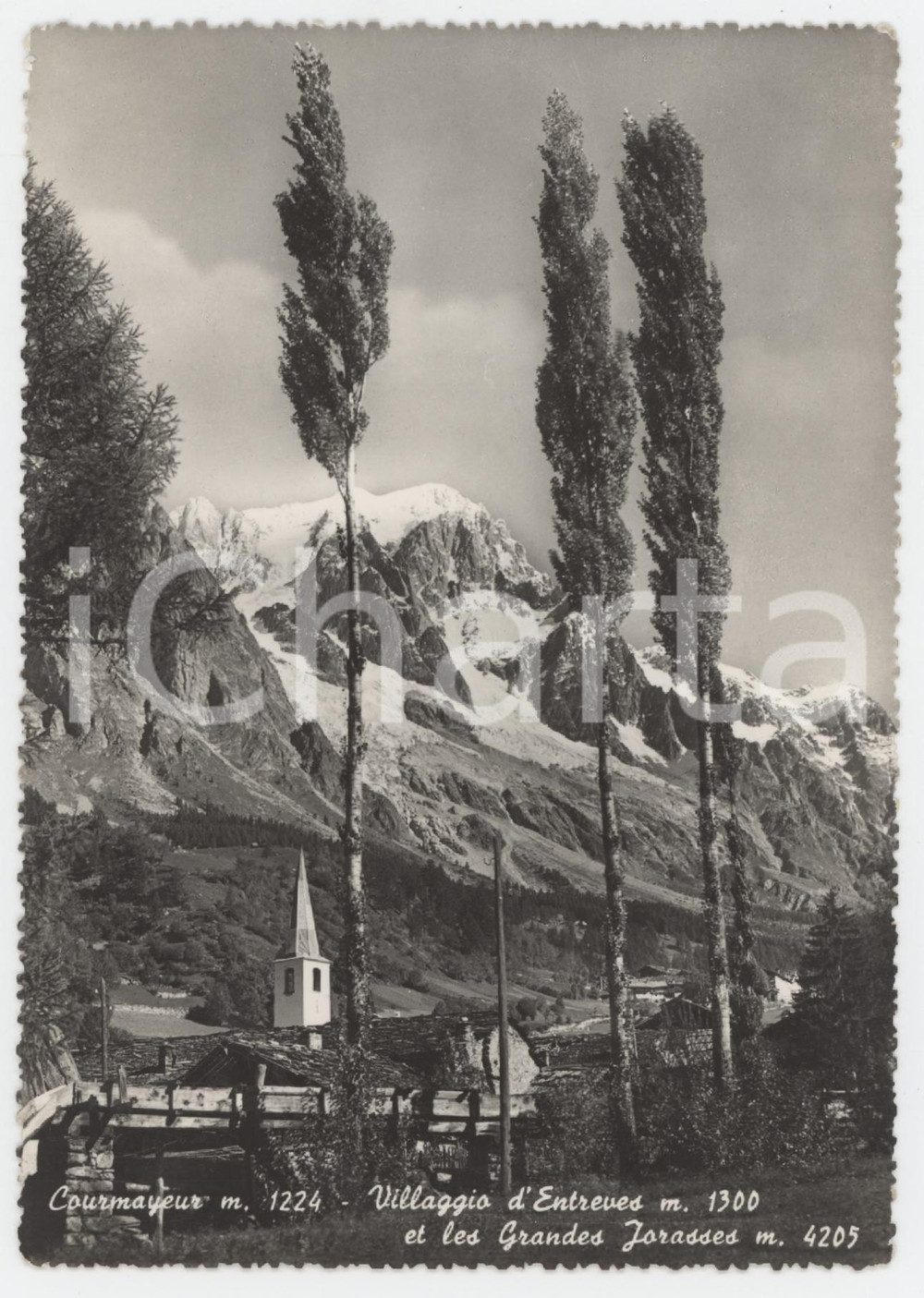 Cartolina originale da collezione 1954 COURMAYEUR Villaggio d Entreves e Le Grandes Jorasses  Cartolina FG VG 1