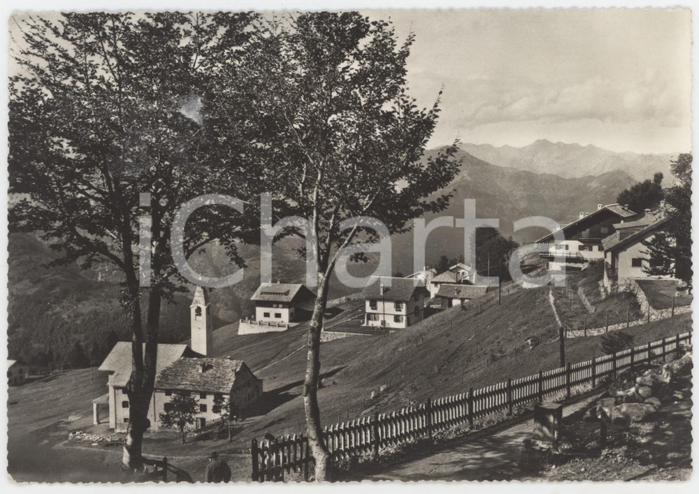 Cartolina originale da collezione 1950 ca SCOPELLO  VALSESIA Panorama dell Alpe di Mera  Cartolina FG VG 1