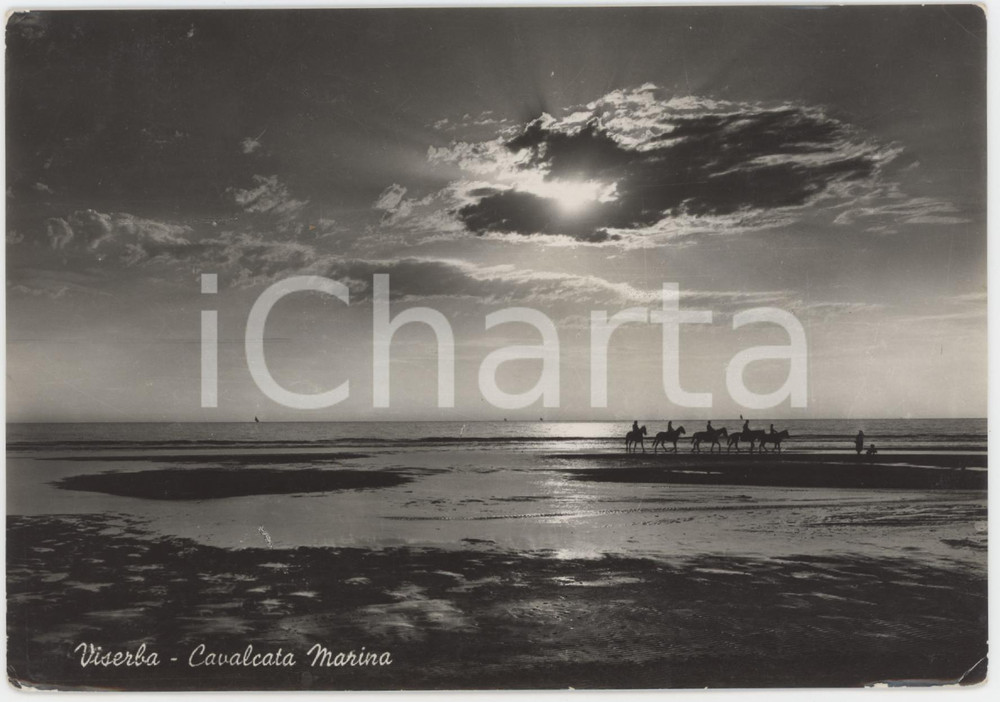 Cartolina originale da collezione 1954 VISERBA DI RIMINI Passeggiata a cavallo sulla spiaggia  Cartolina ANIMATA 1