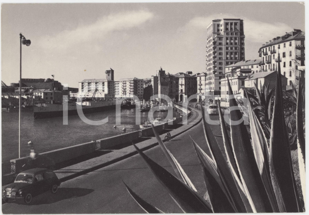 Cartolina originale da collezione 1950 ca SAVONA Lungomare Giacomo Matteotti  Cartolina ANIMATA FG NV 1