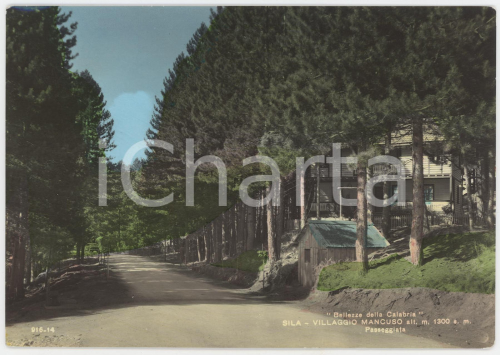 Cartolina originale da collezione 1961 VILLAGGIO MANCUSO  SILA Passeggiata  Cartolina FG VG 1