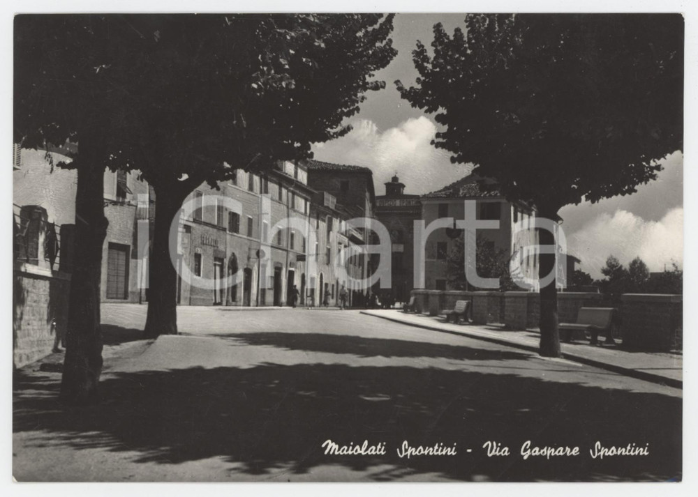 Cartolina originale da collezione 1958 MAIOLATI SPONTINI Via Gaspare Spontini  Cartolina campione ALTEROCCA FG VG 1