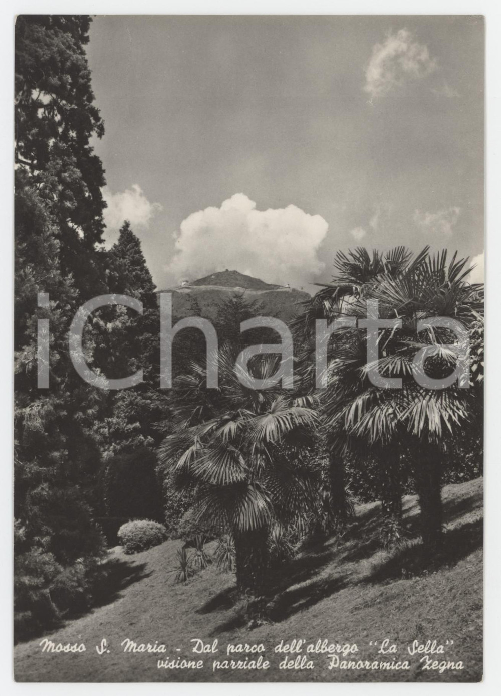 Cartolina originale da collezione 1950 ca MOSSO SANTA MARIA Panoramica Zegna dall Albergo La Sella  Cartolina 1