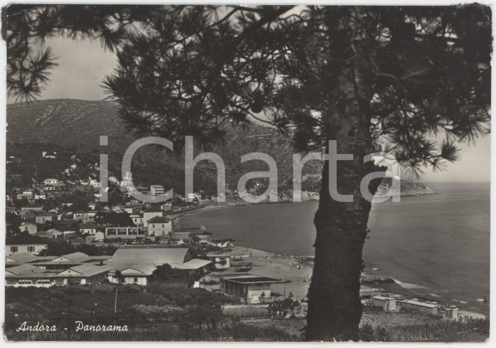 Cartolina originale da collezione 1956 ANDORA SV Panorama del paese  Cartolina FG VG 1