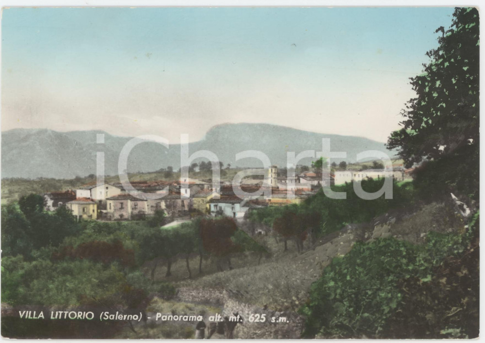 Cartolina originale da collezione 1965 LAURINO Frazione VILLA LITTORIO Panorama del paese  Cartolina FG VG 1