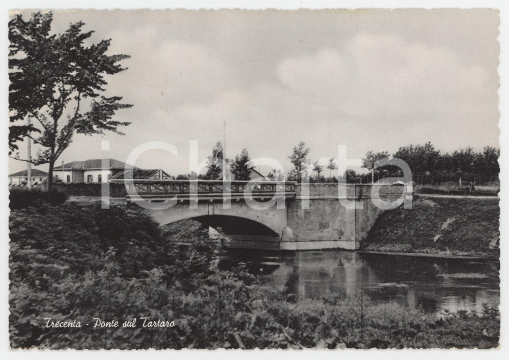 Cartolina originale da collezione 1960 TRECENTA Il Ponte sul Fiume Tartaro  Cartolina FG VG 1