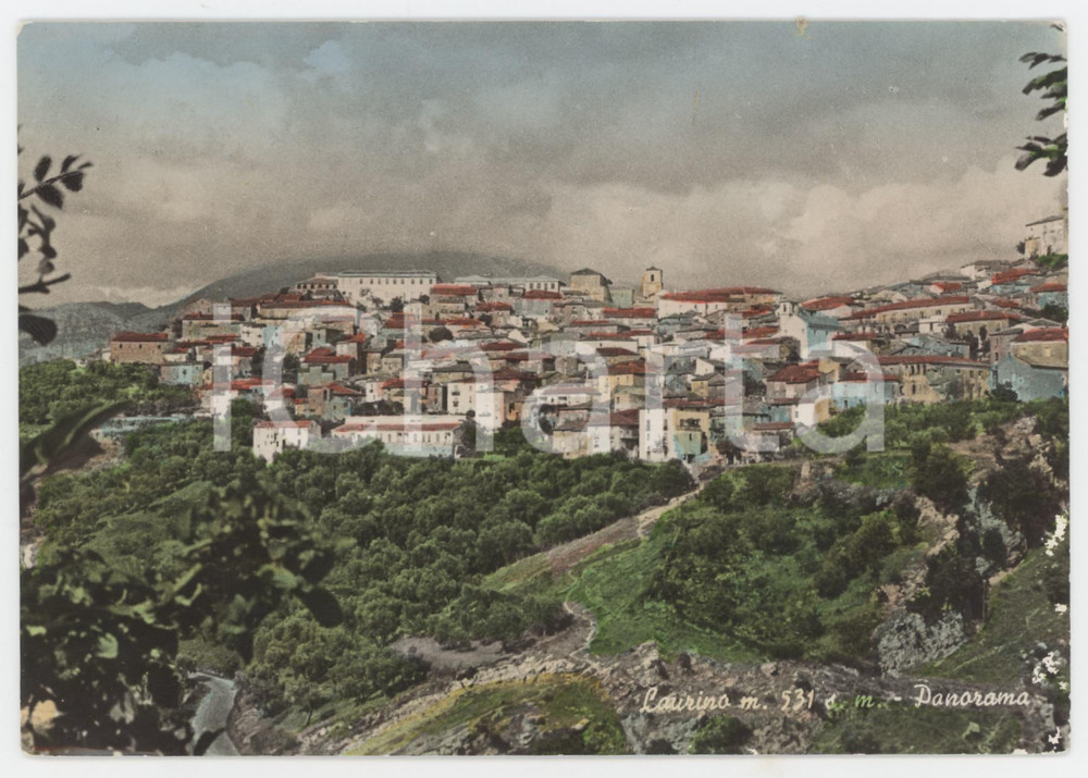 1964 LAURINO (SA) Panorama del paese - Cartolina FG VG