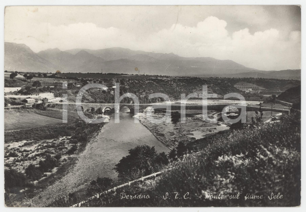 Cartolina originale da collezione 1960 PERSANO Ponte sul Fiume Sele  Cartolina FG VG 1