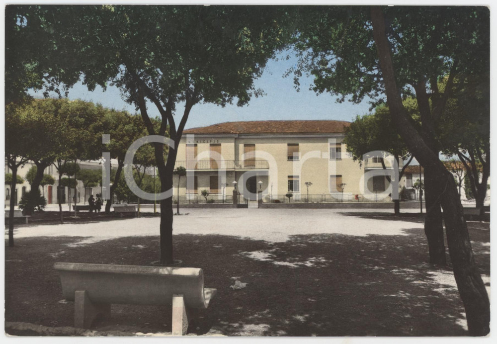 Cartolina originale da collezione 1964 SANT ARSENIO SA Palazzo Municipale  Cartolina FG VG 1
