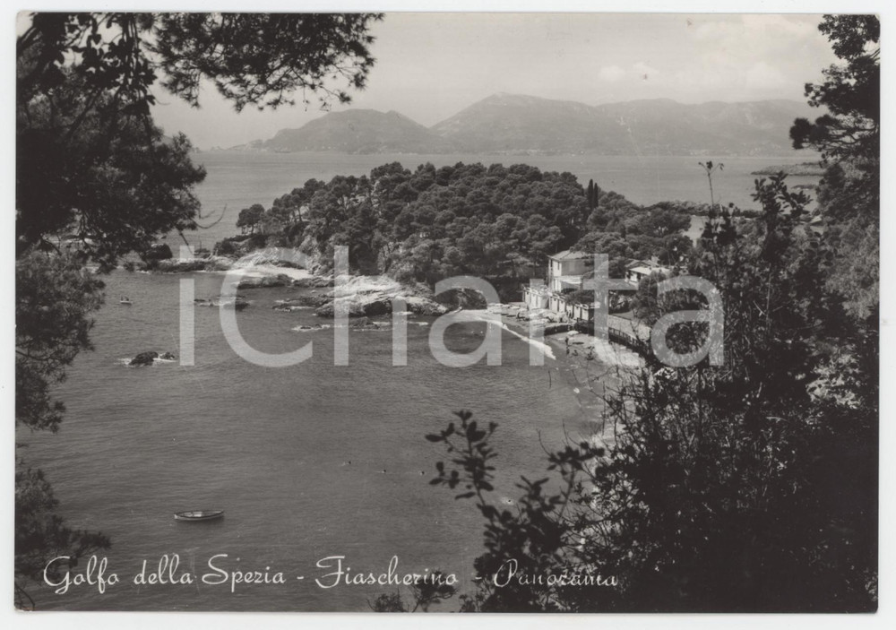 Cartolina originale da collezione 1954 LA SPEZIA Borgo di Fiascherino nel Golfo della Spezia  Cartolina FG VG 1