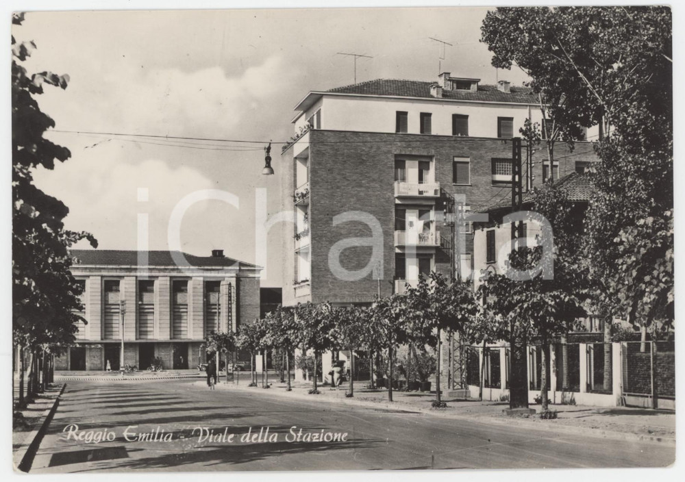 Cartolina originale da collezione 1955 REGGIO EMILIA Uomo in bicicletta sul Viale della Stazione  Cartolina FG VG 1