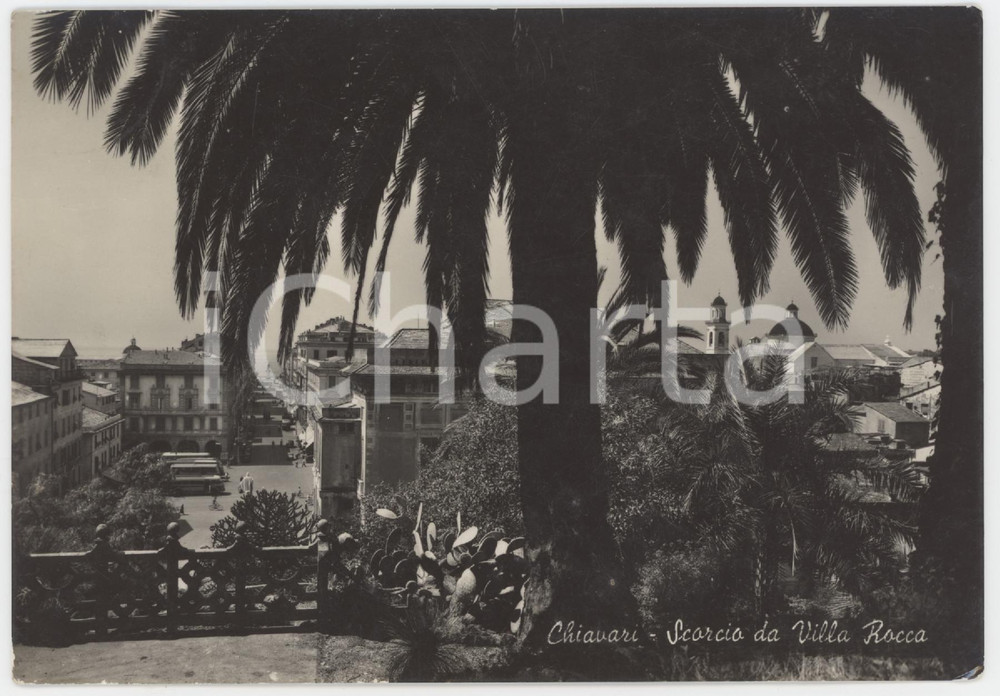 Cartolina originale da collezione 1954 CHIAVARI Panorama dal Parco Botanico di Villa Rocca  Cartolina FG VG 1