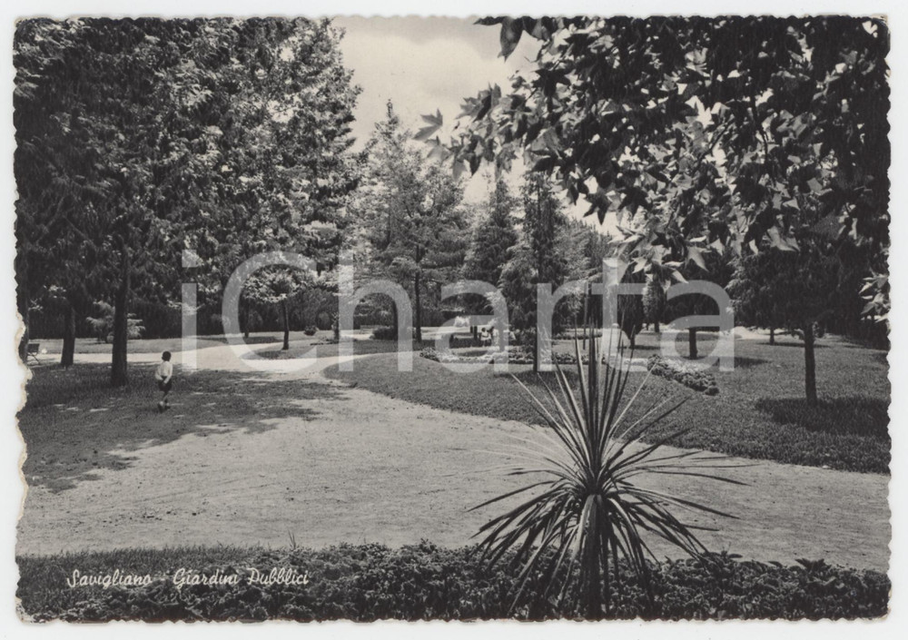 Cartolina originale da collezione 1959 SAVIGLIANO Bambino ai giardini pubblici  Cartolina FG VG 1
