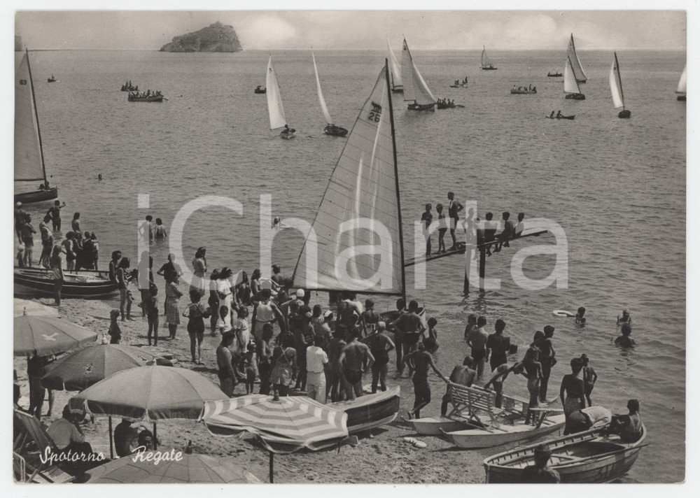 Cartolina originale da collezione 1952 SPOTORNO Bagnanti sulla spiaggia durante una regata  Cartolina ANIMATA 1