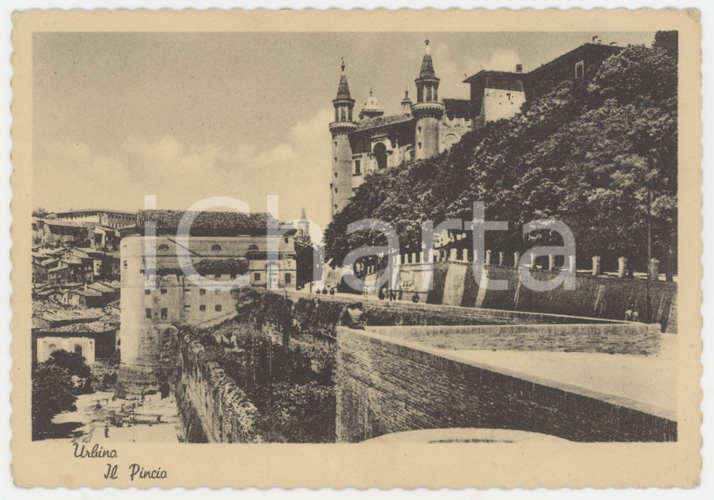 Cartolina originale da collezione 1950 ca URBINO Il Pincio di Urbino  Cartolina ANIMATA FG NV 1