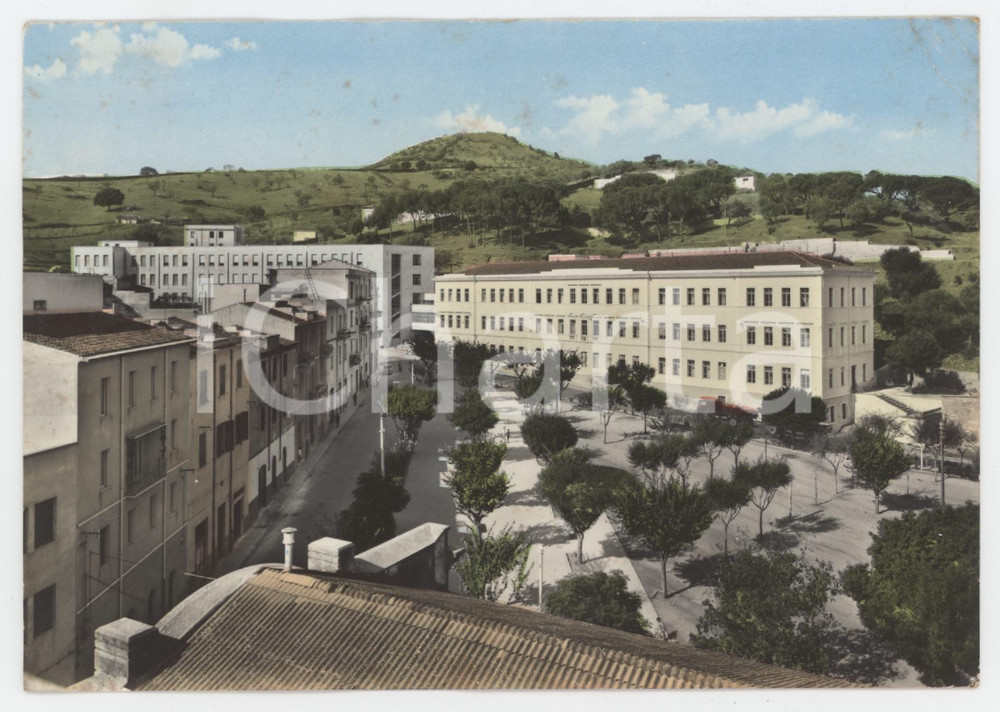Cartolina originale da collezione 1960 ca OZIERI SS Panorama delle scuole  Cartolina FG VG 1