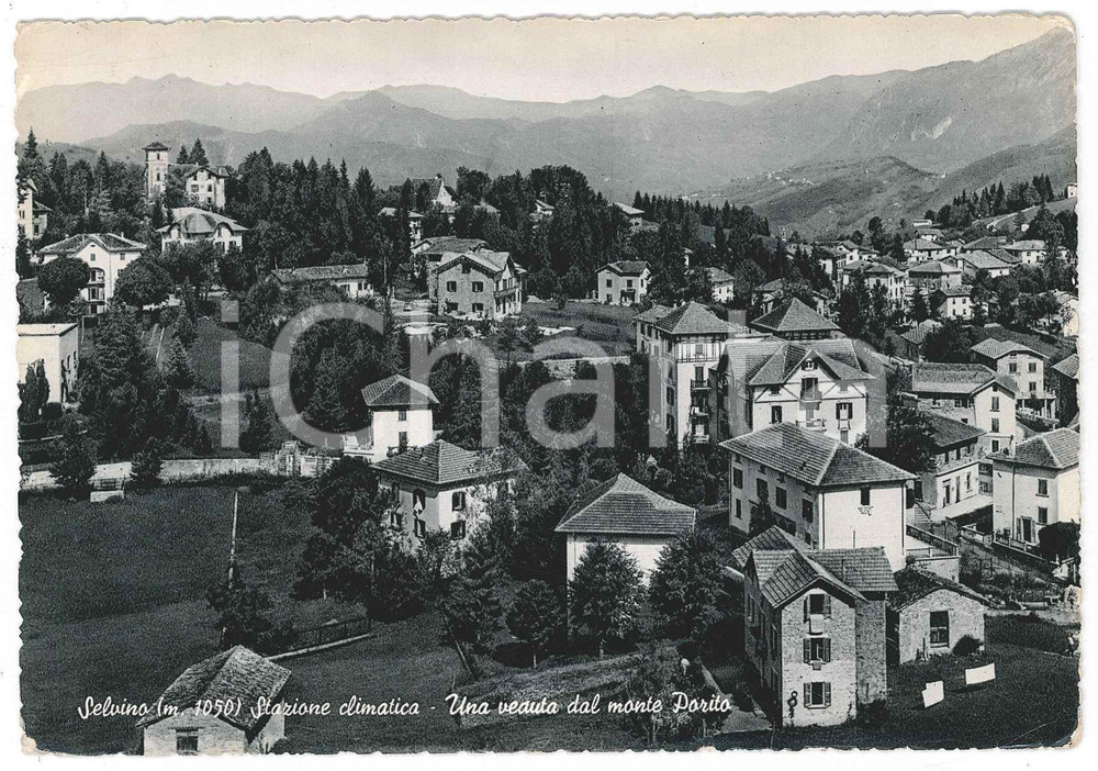 Cartolina originale da collezione 1957 SELVINO BG Veduta dal Monte Purito  Cartolina FG VG 1