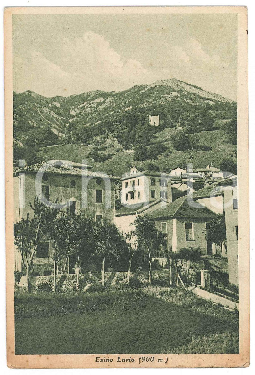 Cartolina originale da collezione 1939 ESINO LARIO LC Panorama del paese  Cartolina FG VG 1