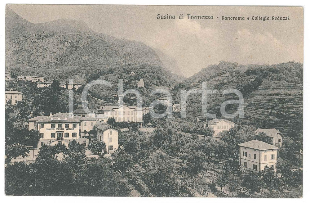 Cartolina originale da collezione 1930 ca SUSINO DI TREMEZZINA Collegio Peduzzi e panorama  Cartolina FP NV 1
