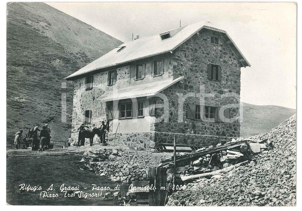 Cartolina originale da collezione 1956 PIZZO TRE SIGNORI Passo di Camisolo  Mulo al rifugio A. Grassi  Cartolina 1