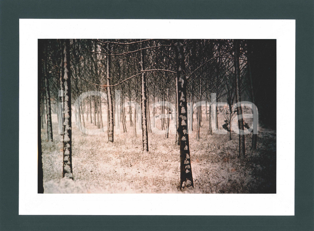 Fotografia d epoca originale 1980 Area di BRESCIA  Inverno Fotografia artistica Alberto SORLINI 40x30 cm 1