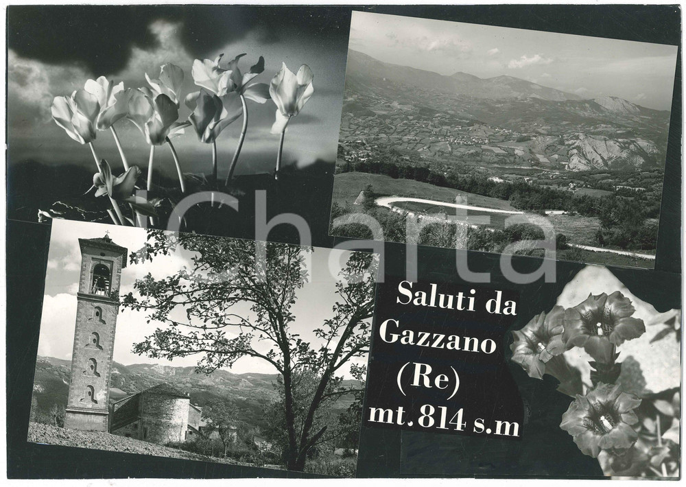 Stampa, bozzetto originale 1965 ca GAZZANO RE Vedutine  Chiesa S. Marco Bozzetto cartolina 33x23 cm 1