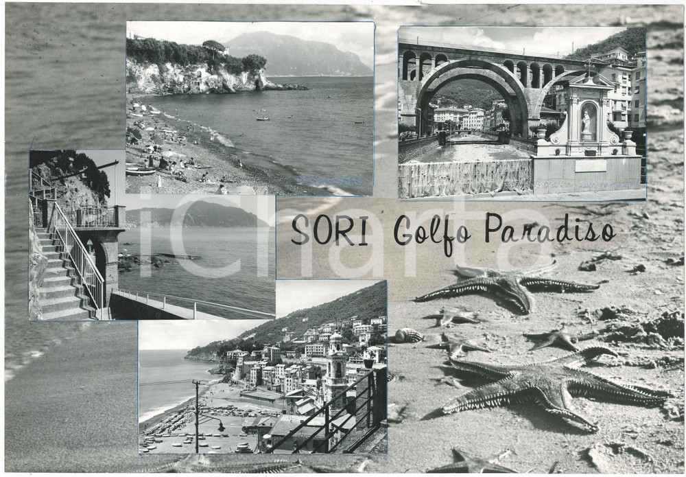 Stampa, bozzetto originale 1965 ca SORI GE GOLFO PARADISO Vedutine  Spiaggia  Bozzetto per cartolina 1