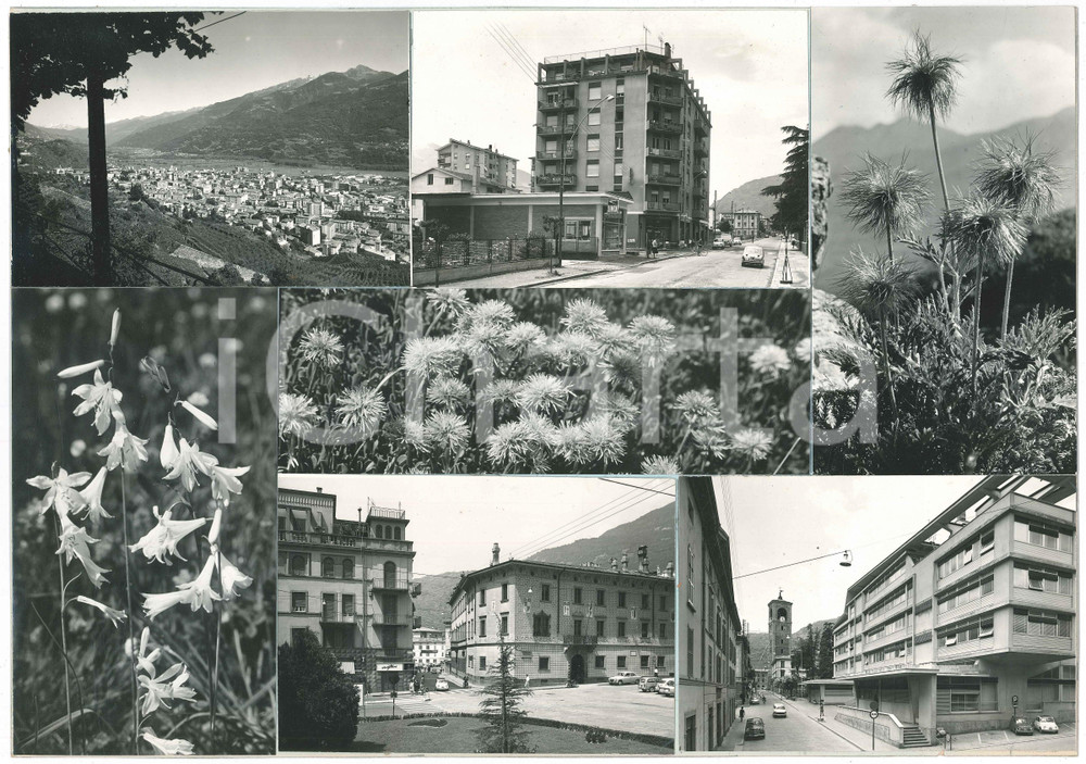 Stampa, bozzetto originale 1965 ca SONDRIO Vedutine  Palazzo Pretorio  Bozzetto per cartolina 1