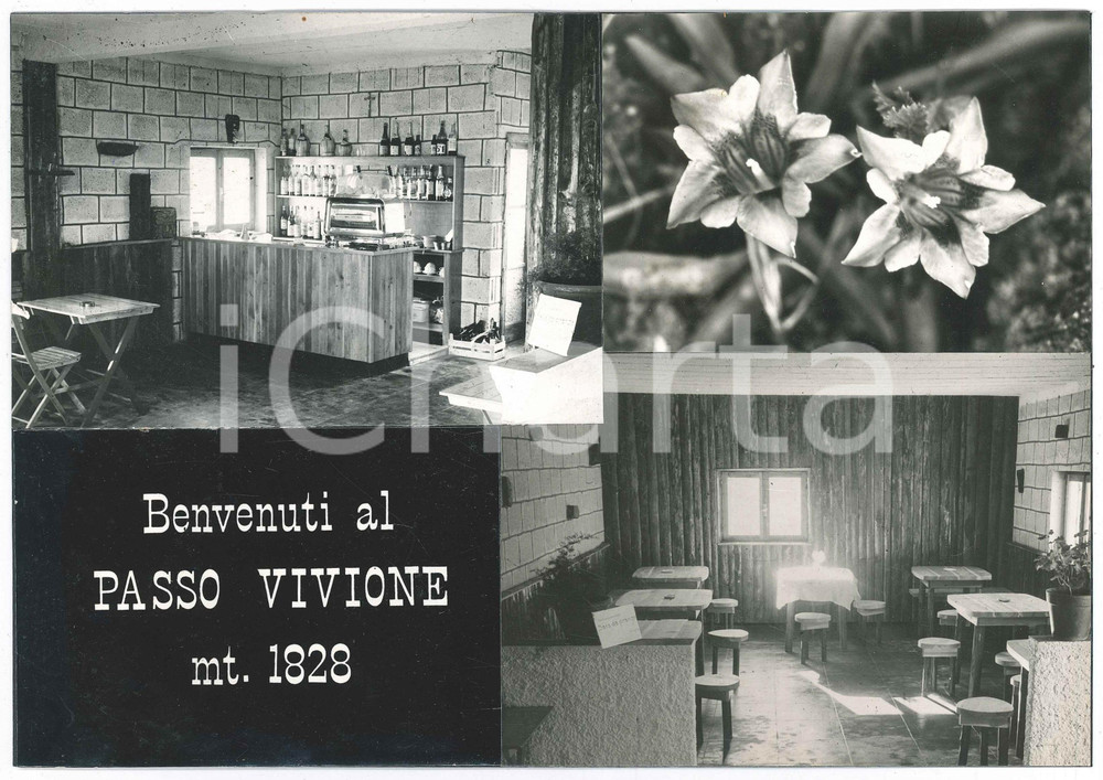 Stampa, bozzetto originale 1965 ca LOMBARDIA  PASSO DEL VIVIONE  Vedutine  Rifugio  Bozzetto cartolina 1