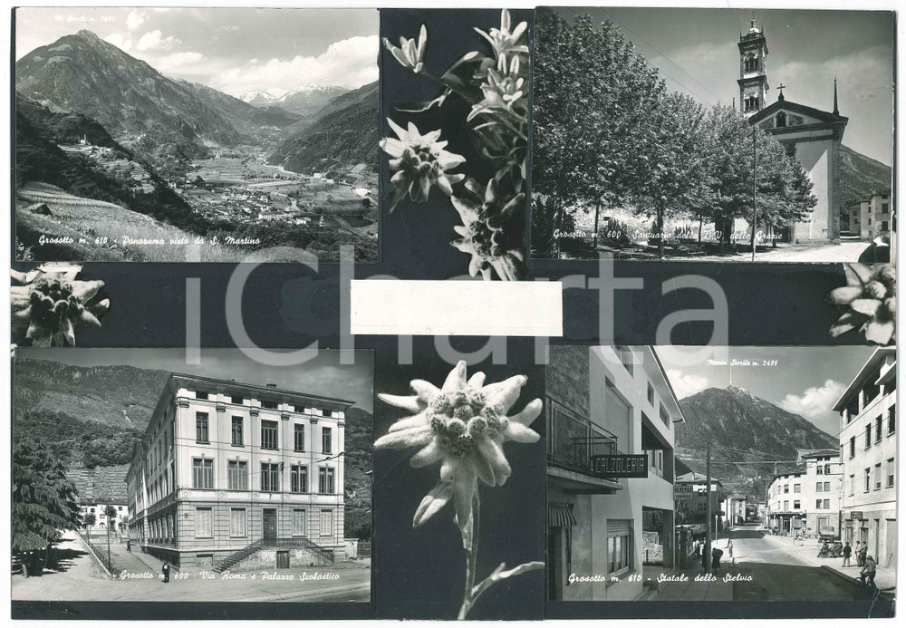 Stampa, bozzetto originale 1960 ca GROSOTTO SO Vedutine  Via ROMA  Statale Stelvio Bozzetto cartolina 1