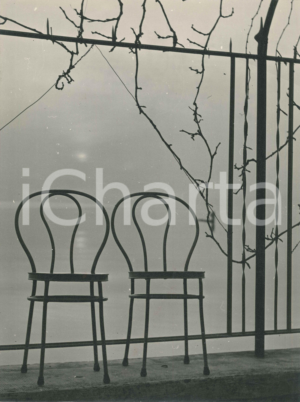 Fotografia d epoca originale 1960 ca LAGO DI GARDA Scorcio al tramonto Foto artistica Alberto SORLINI 30x40 1