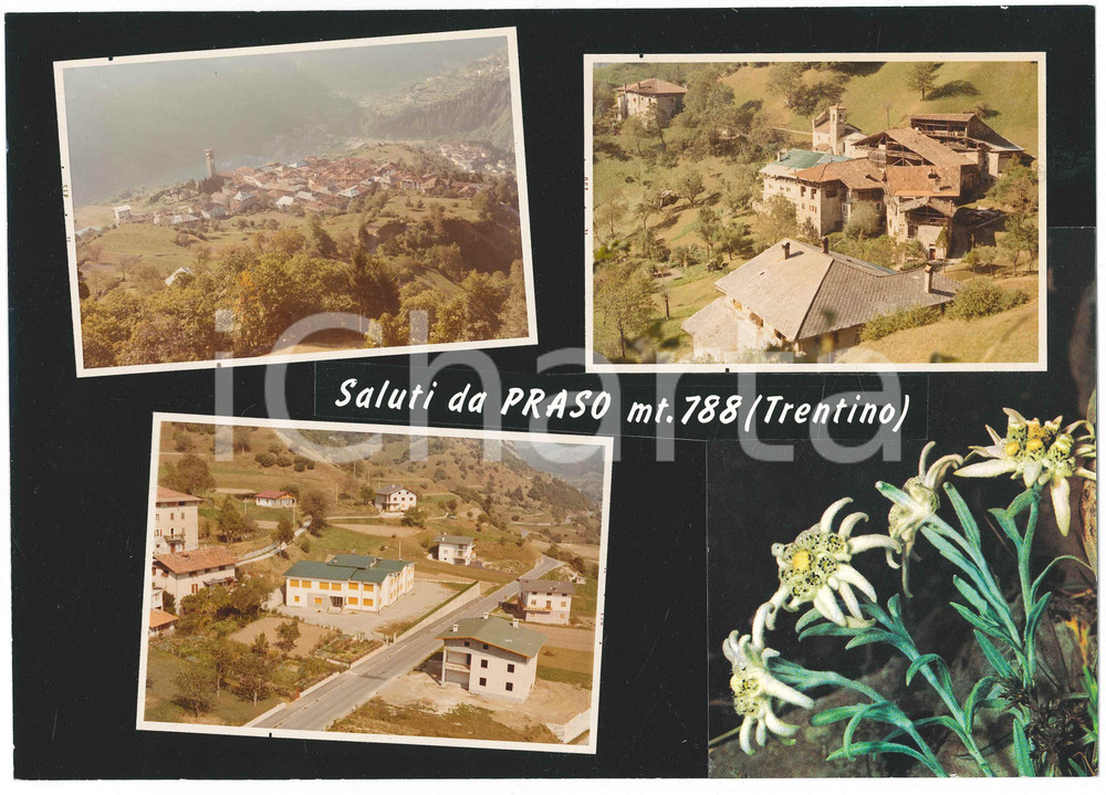 Stampa, bozzetto originale 1965 ca PRASO TN Vedutine del paese Bozzetto per cartolina 28x20 cm 1