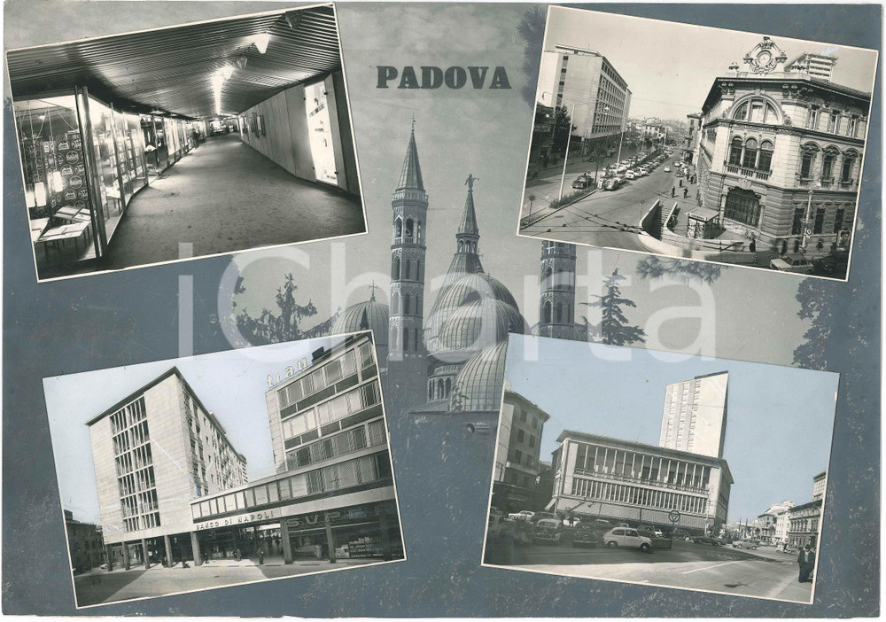 Stampa, bozzetto originale 1965 ca PADOVA Vedutine  Banco di Napoli  Palazzo Poste  Bozzetto cartolina 1
