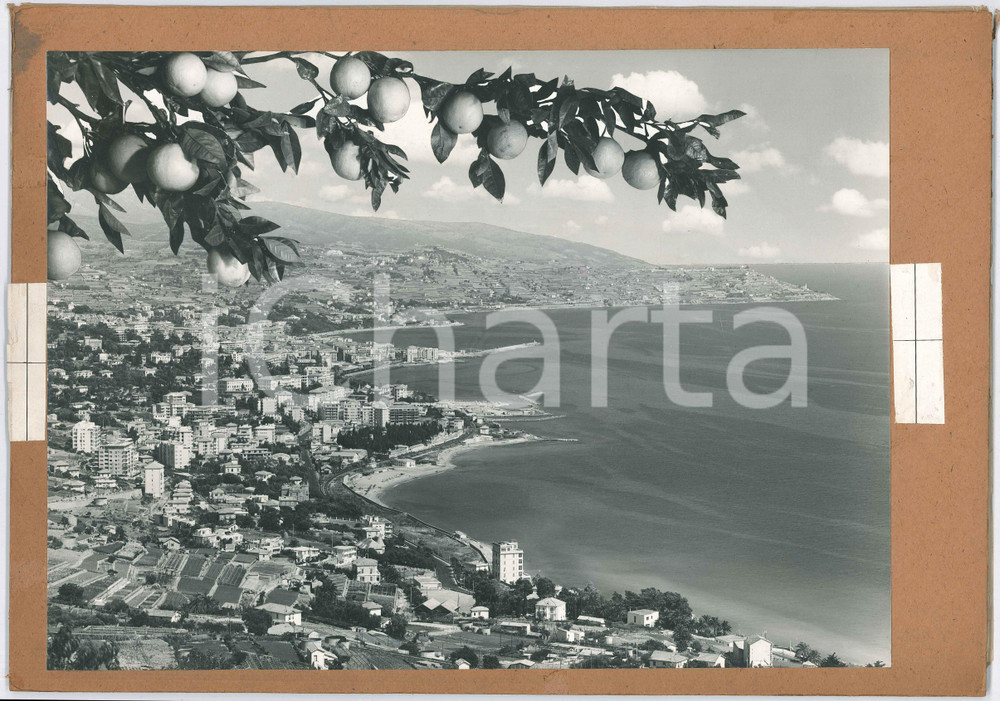 Stampa, bozzetto originale 1960 ca SANREMO  Veduta del Golfo  Bozzetto per cartolina 40x28 cm 1
