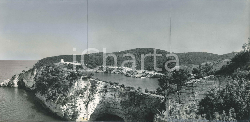 Stampa, bozzetto originale 1960 ca VIESTE  Veduta con torre costiera  Bozzetto per cartolina 40x28 cm 1