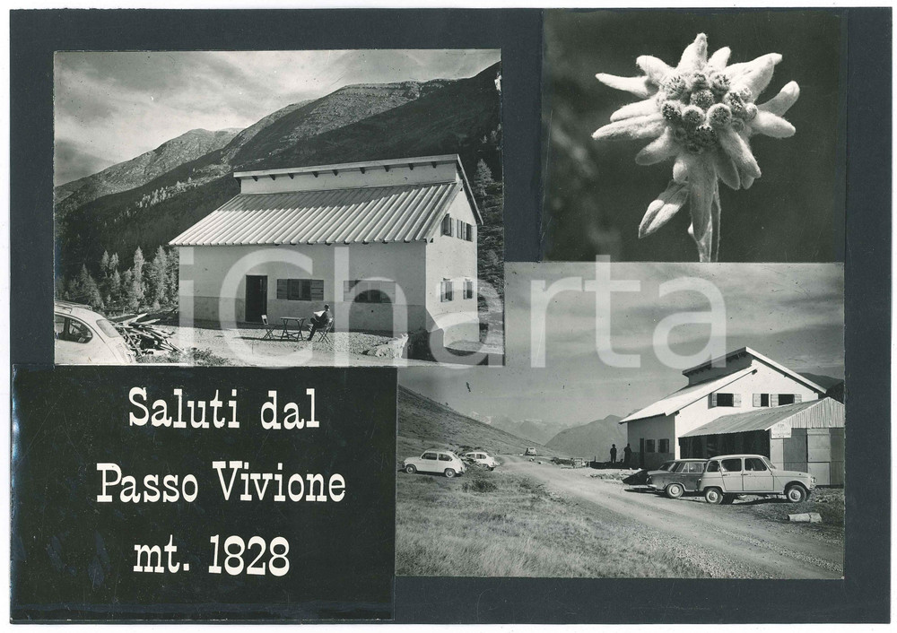 Stampa, bozzetto originale 1960 ca LOMBARDIA  PASSO DEL VIVIONE  Vedutine Bozzetto per cartolina 1