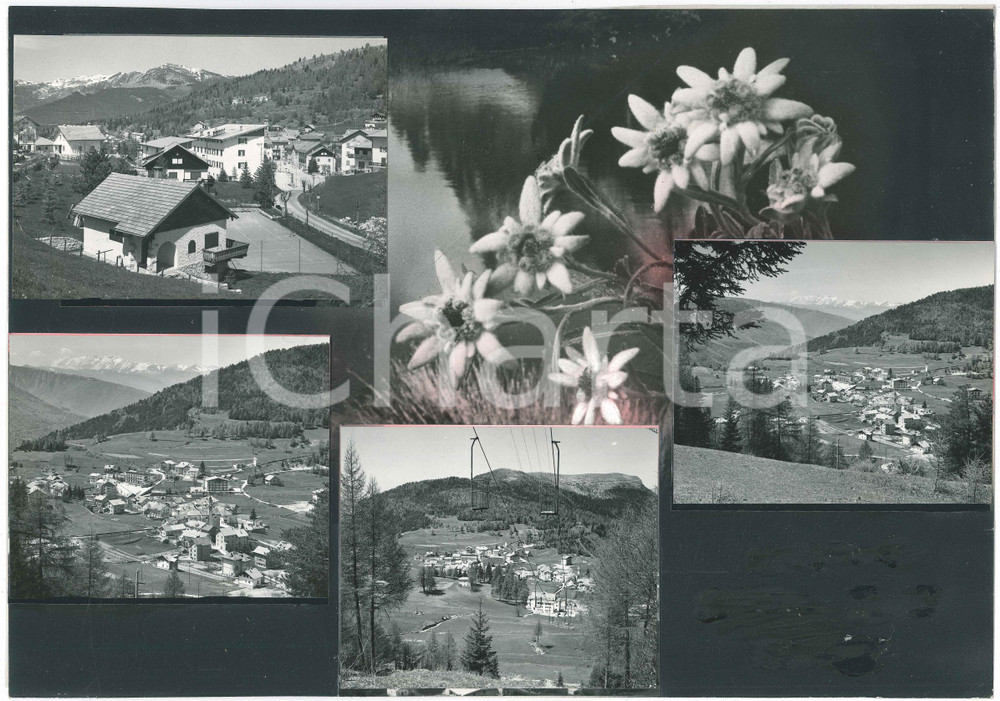 Stampa, bozzetto originale 1965 ca PASSO DELL APRICA  SERRADA  Vedutine Bozzetto per cartolina 1