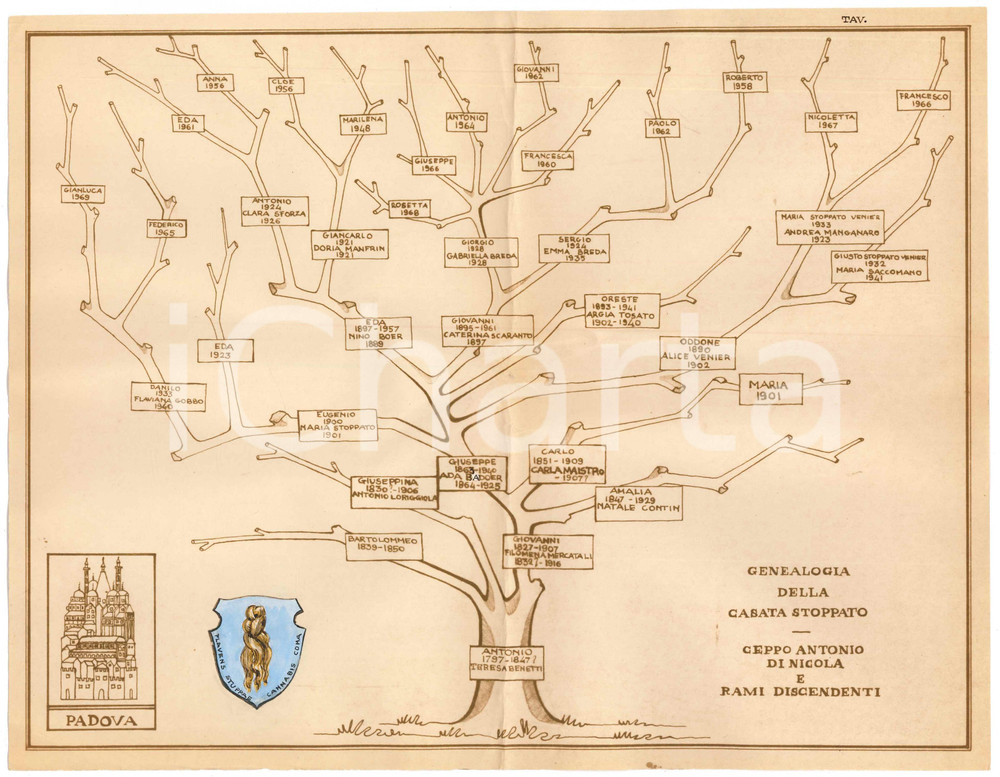 Stampa, bozzetto originale 1970 ca PADOVA Famiglia STOPPATO Albero genealogico ceppo Antonio di Nicola 1
