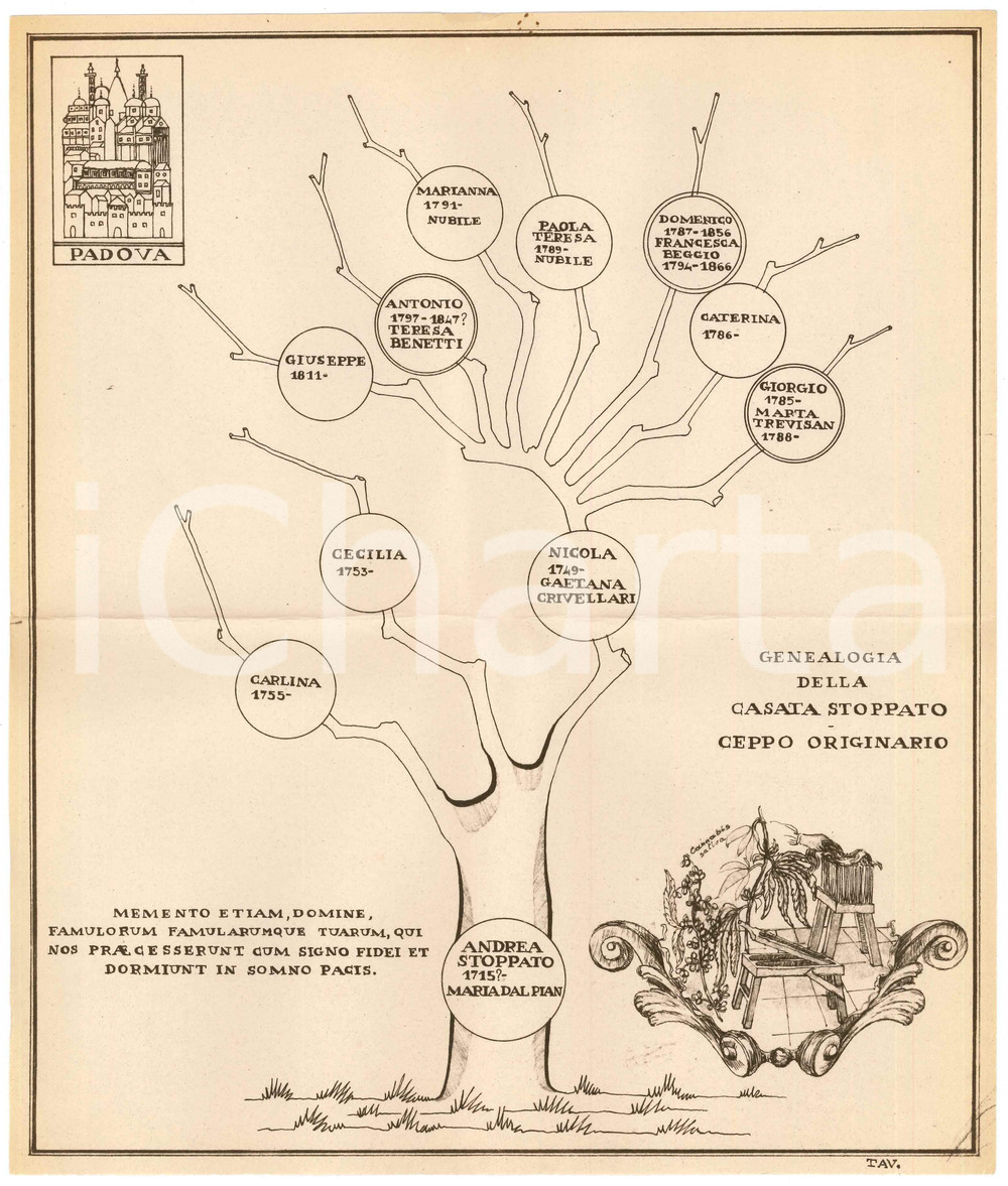 1970 ca PADOVA - Famiglia STOPPATO - Albero genealogico ceppo originario Stampa originale. CONDIZIONI:POOR/danneggiato piegatura centrale d'epoca; lievi piegature al lato superioreFORMATO: 26x31 cm originale e autentica 1