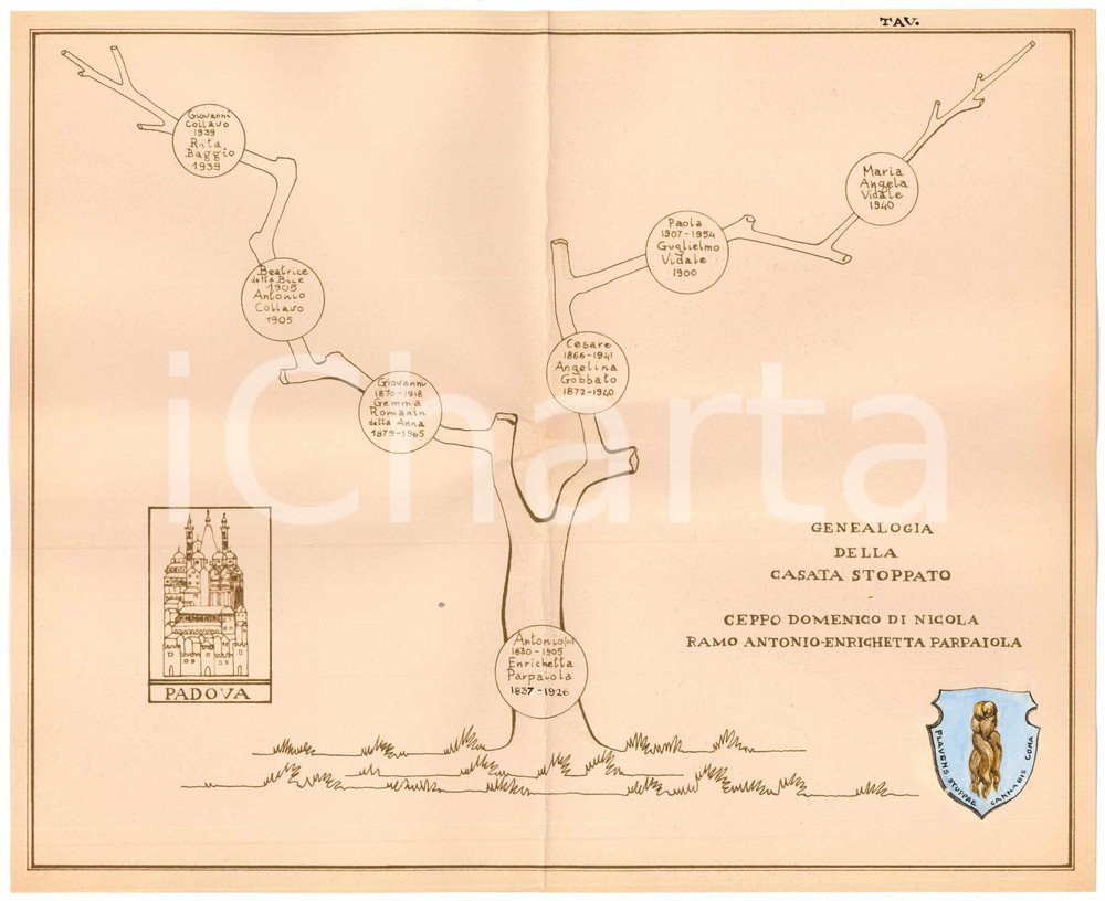 Stampa, bozzetto originale 1970 ca PADOVA Famiglia STOPPATO Albero genealogico ceppo Domenico di Nicola 2 1