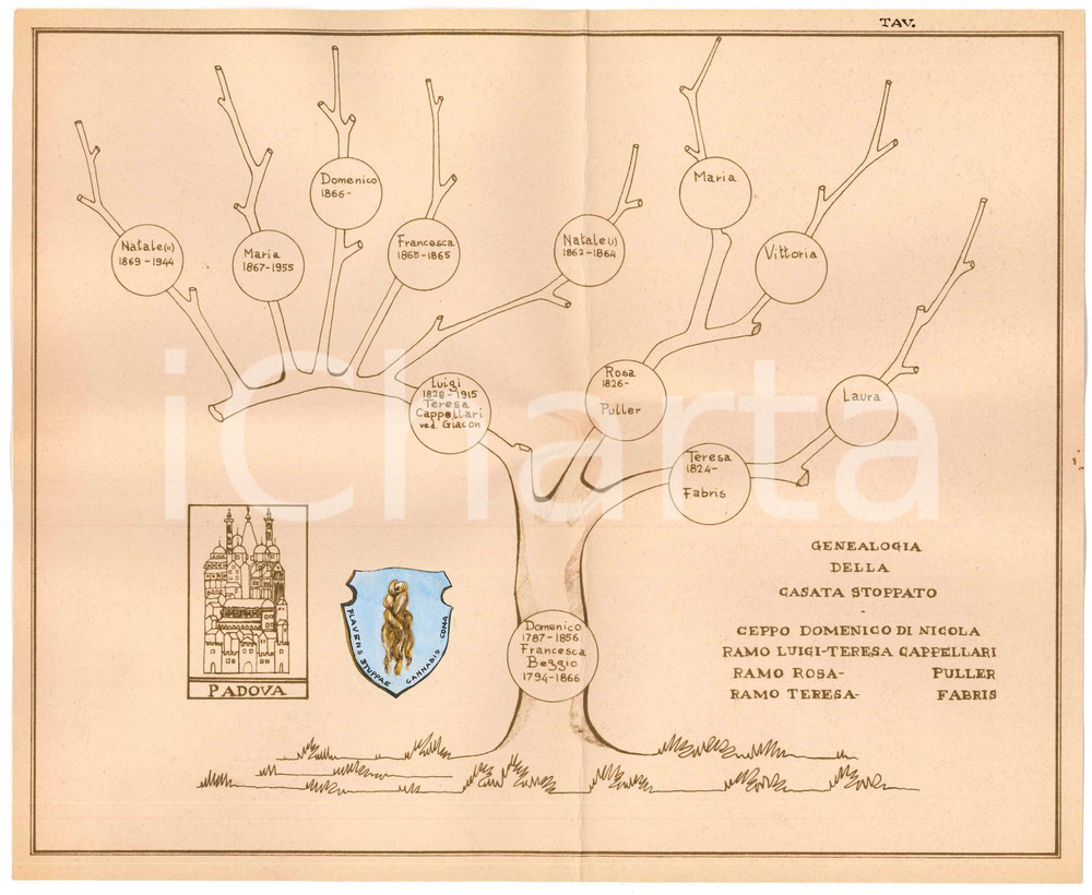 Stampa, bozzetto originale 1970 ca PADOVA  Famiglia STOPPATO  Albero genealogico ceppo Domenico di Nicola 1