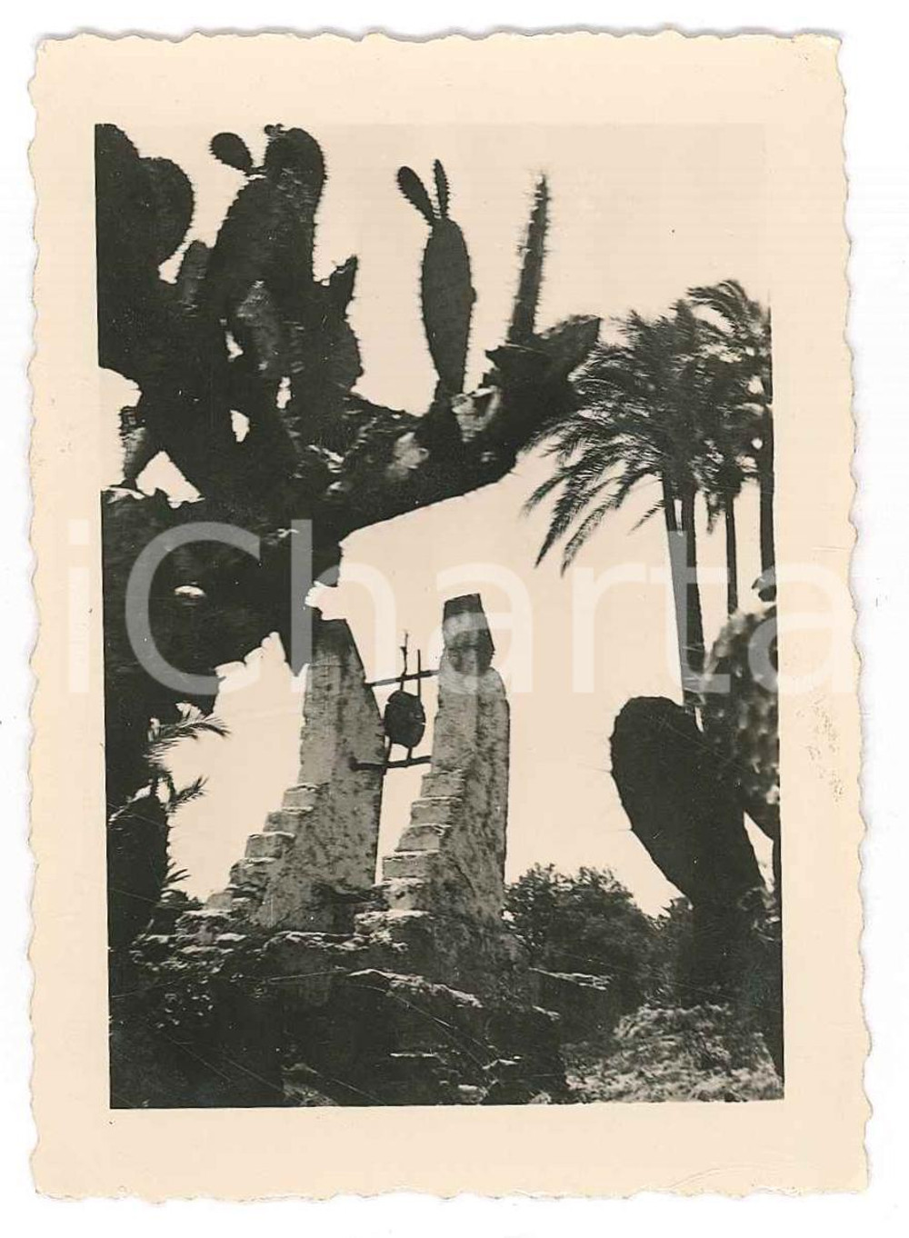 Fotografia d epoca originale 1935 ca TRIPOLI LIBIA ITALIANA Oasi  Pozzo arabo  Foto 7x9 cm 1