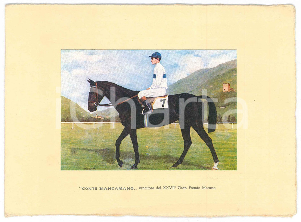 Oggetto da collezione cartaceo 1966 IPPICA Biglietto CONTE BIANCAMANO XXVII Gran Premio di Merano 1