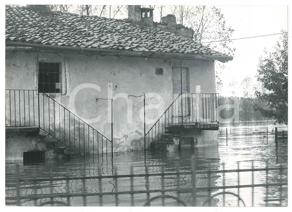 1968 ALLUVIONE PAVIA - Strade allagate - Fotografia 18x13 cm (1)