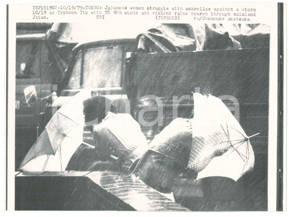 Fotografia d epoca originale 1979 TOKYO Japanese woman struggle with umbrellas against a typhoon Telefoto 1