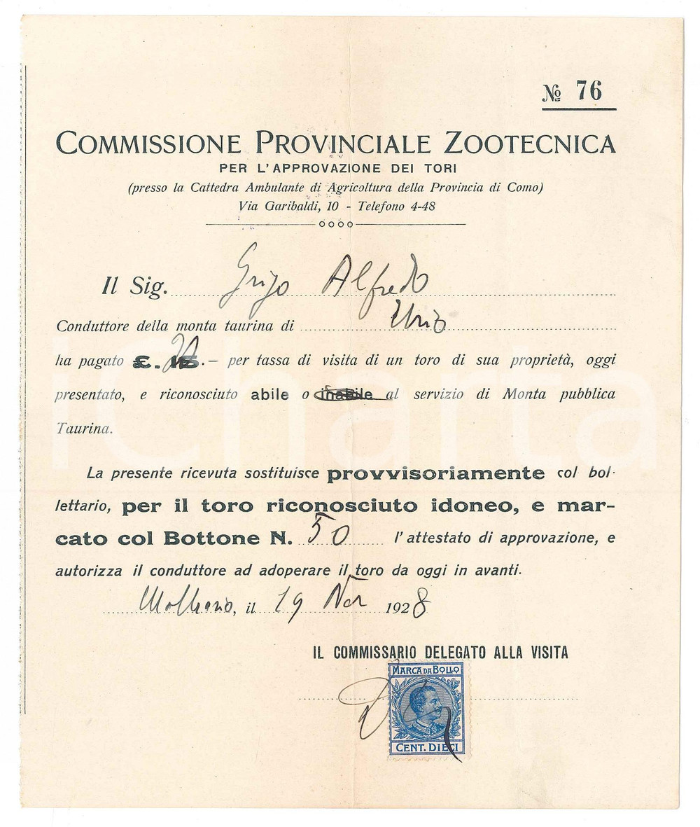 Documento originale, autentico 1928 MOLTRASIO Monta taurina  Ricevuta toro idoneo a servizio di monta pubblica 1