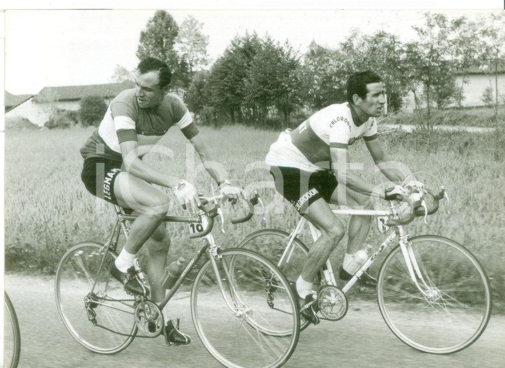 Fotografia d epoca originale 1957 GIRO D ITALIA  CICLISMO Ercole BALDINI e Gastone NENCINI durante la gara 1